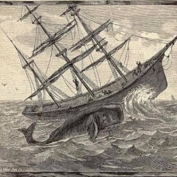 Meet your Posher, Carlos silva - Picture 1 of 1